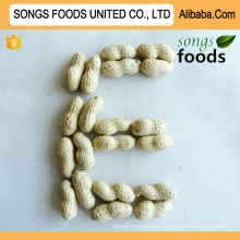 Count 9/11 11/13 Seaflower Peanut Sell